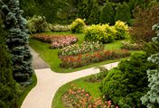 montreal rose garden